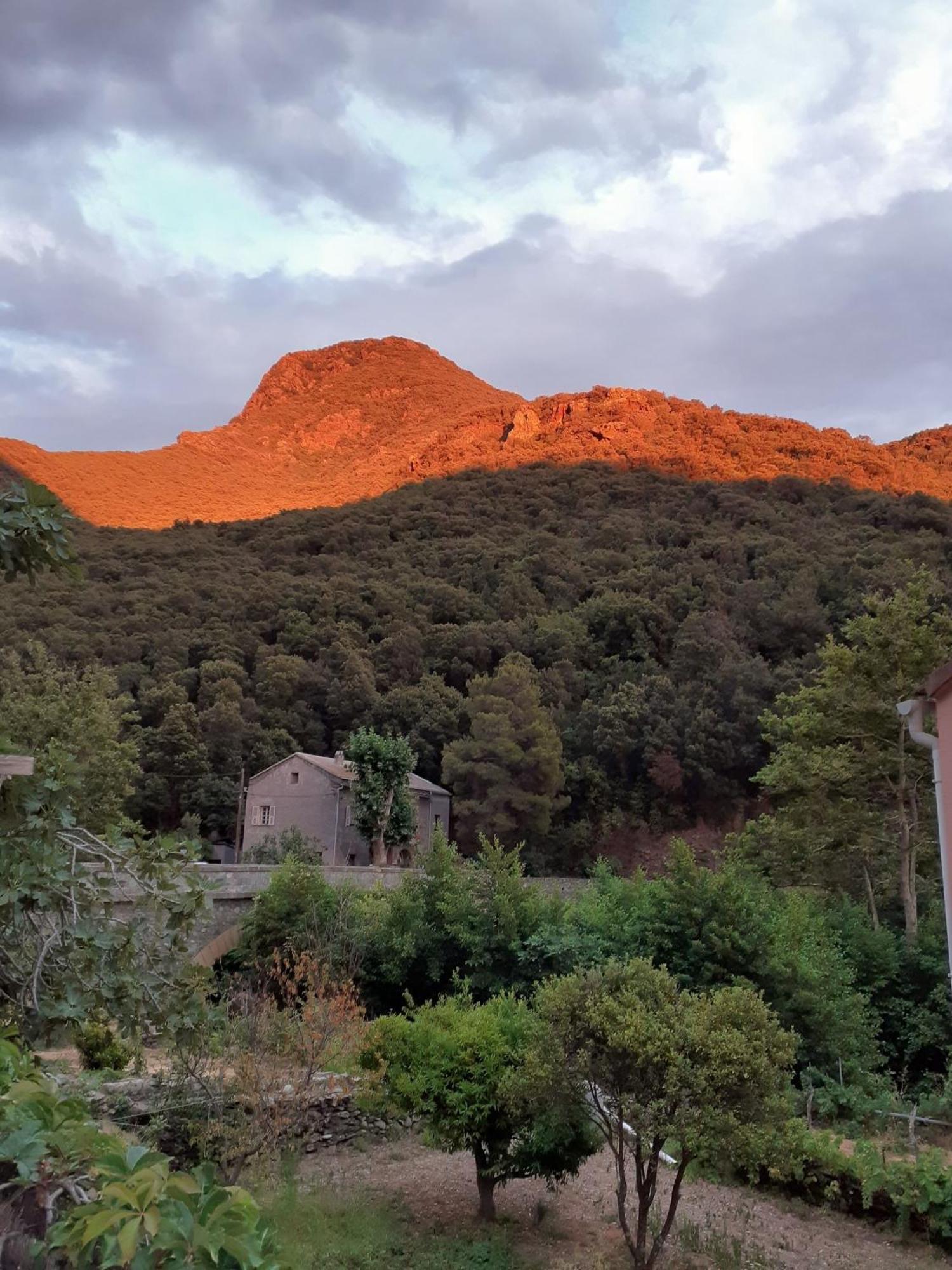 Cap Corse - Maison A 500M De La Plage Grillasca Kültér fotó