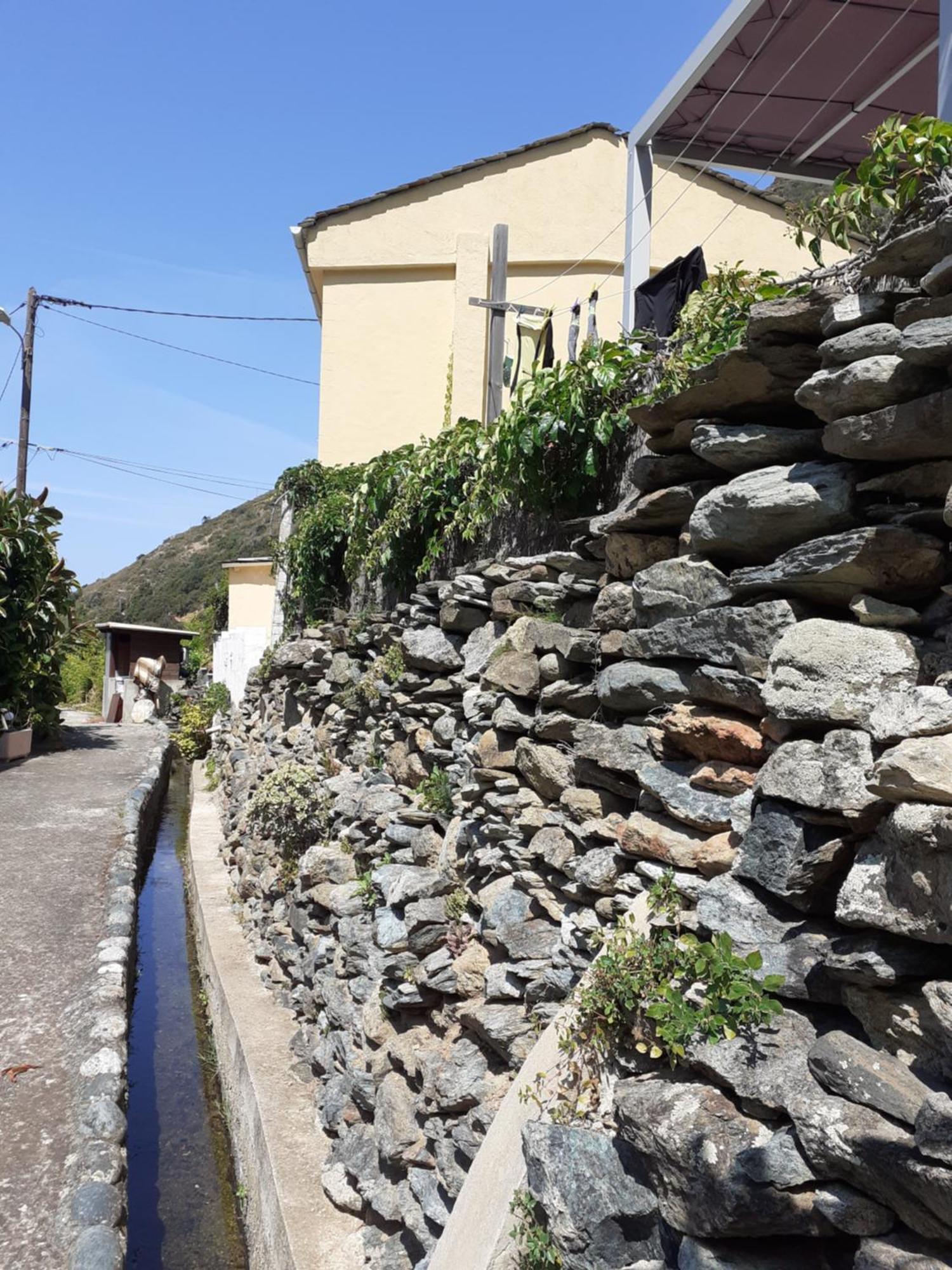 Cap Corse - Maison A 500M De La Plage Grillasca Kültér fotó